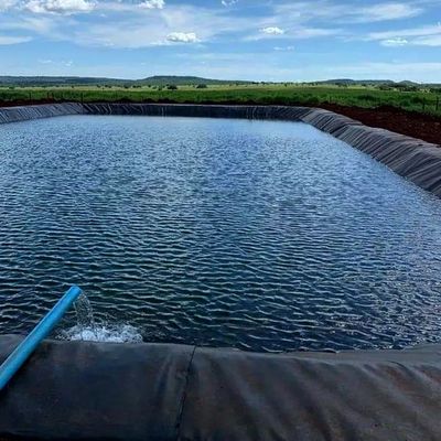 1.0mm HDPE Geomembrane for Fish Pond Width 1-6m Chemical Resistant Black Geomembrane