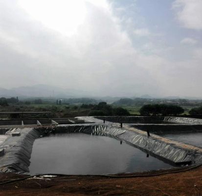 1.0mm HDPE Geomembrane for Fish Pond Width 1-6m Chemical Resistant Black Geomembrane