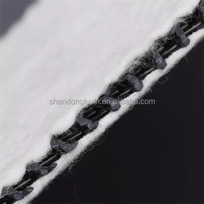 Black White Three Dimensional Composite Drainage Network Geonet Hdpe 5 Mm Drainage Mat Nonwoven Fabric