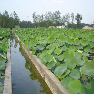 Pvc Geomembrane Sheet 1mm Geo Material Plastic Smooth Geomembrane Hdpe Pond Liner