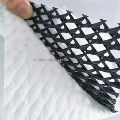 density Polyethylene Plastic Geo Net for Drainage Composite 3D Mesh from Geosynthetics