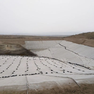 HDPE 3D Salt Barrier Drainage Geonet Geocomposite net for Landfill Road Garden Drainage