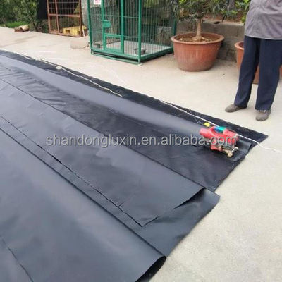Return and Replacement HDPE Geomembrane Dam Liner 1.5mm for Waterproofing Pond Lining