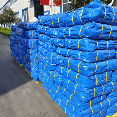 Outdoor Cover and Camping PE Tarpaulin Sheet for Truck/Car/Boat Covers in Blue/White