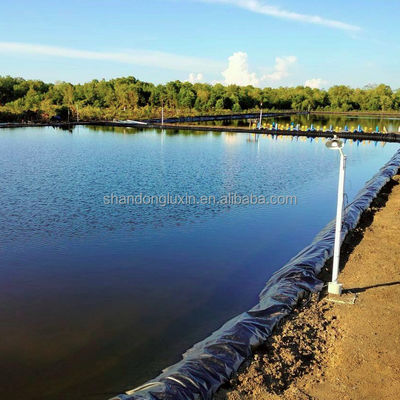 ASTM GRI-GM13 Standard HDPE Liner for Fish Ponds and Farm Tanks 0.3mm-1mm Thickness