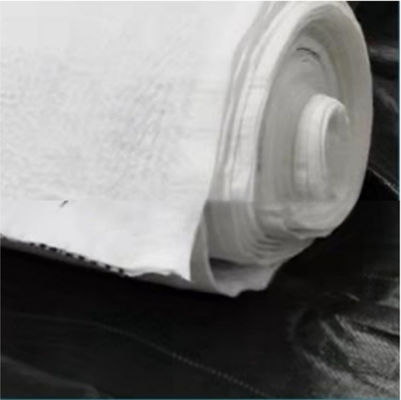 Water Draining Function Black White 5mm HDPE Composite Drainage Network for Landfill Sites