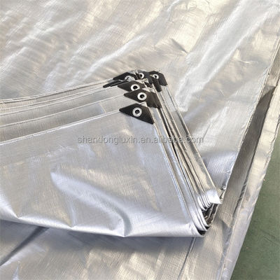 Waterproof Heavy Duty 2m x 100m HDPE Tarpaulin Roll with Coated Woven Pattern in Korea