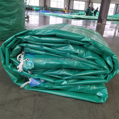 PE Tarpaulin Affordable and Durable Coated Pattern Width 0.5-20M