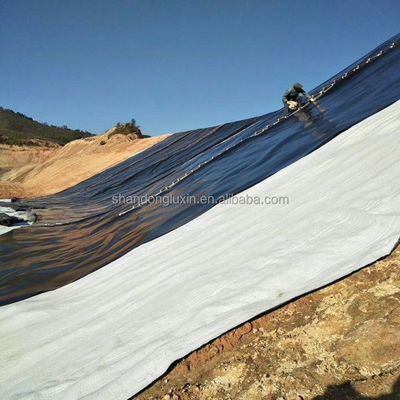 Double Smooth HDPE Waterproofing Plastic Geomembrane Sheet for Aquaculture Fish Pond Liner