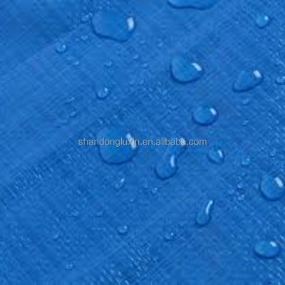Waterproof Professional PE Tarpaulin Poly Tarps Sheet for Customer Requirements