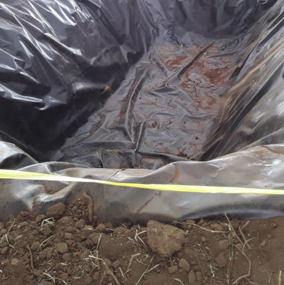 Density Polyethylene Geomembrane 0.5mm 0.75mm 1.5mm 2mm Ideal for Landfill and Mining
