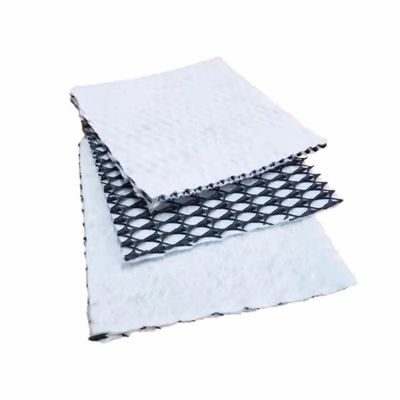 Total Solution for Projects 6mm Thickness Paste Geotextile Composite Drainage Geonet