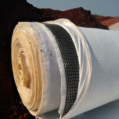 Total Solution for Projects 6mm Thickness Paste Geotextile Composite Drainage Geonet