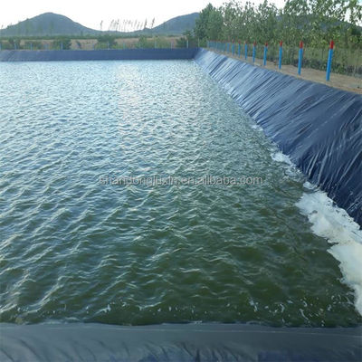 GM 13 Standard 0.2mm-3mm Thickness Waterproofing Geomembrane for Industrial Design Style