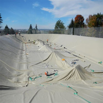 GM 13 Standard 0.2mm-3mm Thickness Waterproofing Geomembrane for Industrial Design Style
