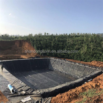Industrial Design Style HDPE Geomembrane Liner 0.5mm 1.0mm 1.2mm 2mm for Fish Farm Pond