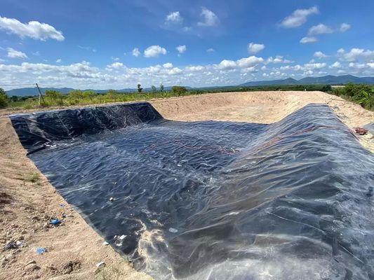 500 microns Dam Linings Prices HDPE Geomembrane Waterproof for Fish Farming Pond Liner
