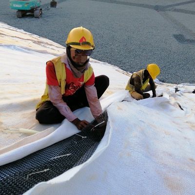 Water Draining Function 6mm Thick Plastic Drainage Geonet in Middle of Composite Geonet