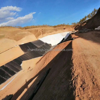 Customized 1.5mm HDPE Film Surface Geomembrane for Reservoir in Black White Green Blue