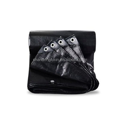 Lightweight Waterproof PE Canvas Tarpaulin Fabric Sheet for Outdoor Applications