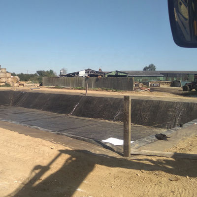 HDPE Geomembrane as Agriculture Pond Liner with Length of 50m-100m/roll Customizable