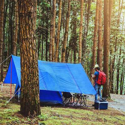 Multifunction Durable Waterproof Custom Roll Pe Tarpaulin Fabric with Coated Surface