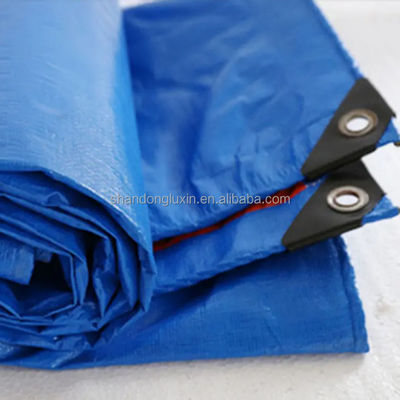 Multifunction Durable Waterproof Custom Roll Pe Tarpaulin Fabric with Coated Surface