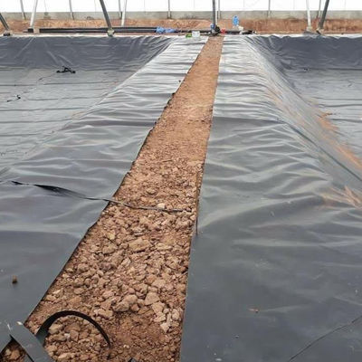 Black 1.5mm HDPE Geomembrane Water Pond Liners for Fish Farm Double Texture Surface