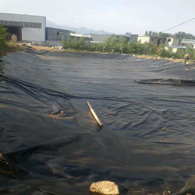 Black 1.5mm HDPE Geomembrane Water Pond Liners for Fish Farm Double Texture Surface