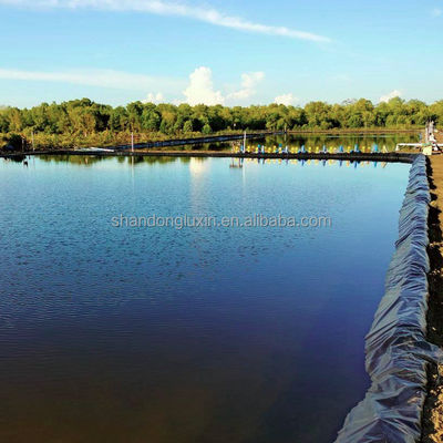 Fish Pond HDPE Geomembrane Liner with Double Smooth Surface 0.5mm 1.0mm 1.2mm 2mm