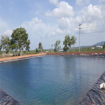 1m-8m Width Fish Tank Dam Pond Liner with HDPE Geomembrane and Double Smooth Surface