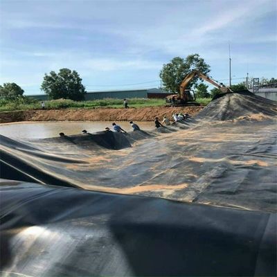 1mm HDPE Liner for Landfill Project Solution Capability and Waterproof Geomembranas
