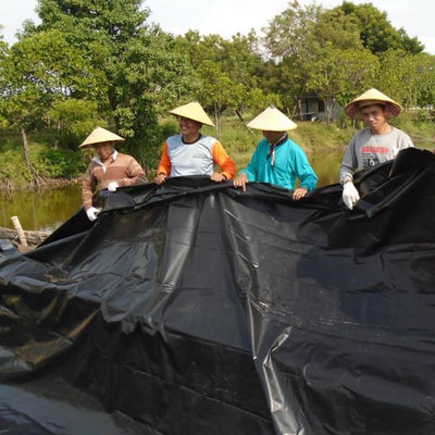 Total Solution Projects 0.5mm HDPE Smooth Textured Black Geomembrane Fish Farm Pond Liner
