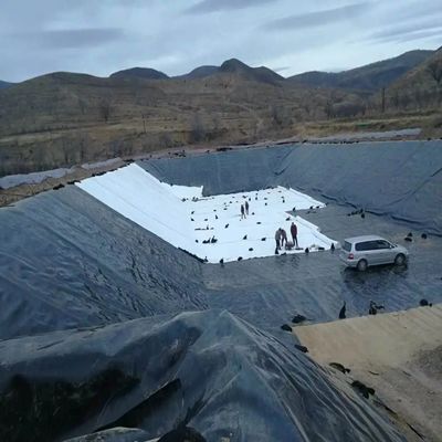 Total Solution Projects 0.5mm HDPE Smooth Textured Black Geomembrane Fish Farm Pond Liner