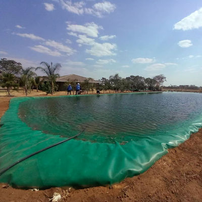 HDPE Geomembrane Waterproof Liner for 1m-8m Width Smooth Surface Pond in Shrimp Farm
