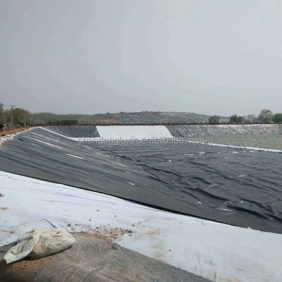 Industrial Design Style HDPE Geomembrane 1m-8m Width for Landfill Pond Liner Material