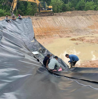 Double Smooth/Texture Surface HDPE Geoliner for Indonesia Fish Farm Pond 1m-8m Width