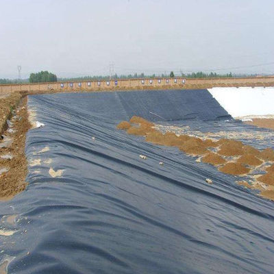 Black or Custom 0.5mm HDPE Sheet Glossy Geomembrane for Shrimp Farming Solutions