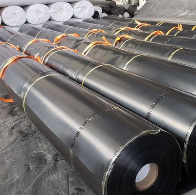 Black or Custom 0.5mm HDPE Sheet Glossy Geomembrane for Shrimp Farming Solutions