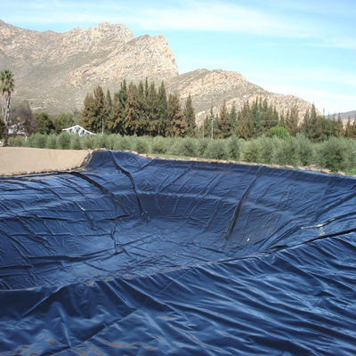Industrial Design 0.5mm HDPE Smooth Geoliner Fish Pond Liner for Aquaculture