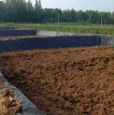 Smooth Surface High Density Geomembrane 1mm-3mm Thickness for Pond Dam and Lagoon Liner