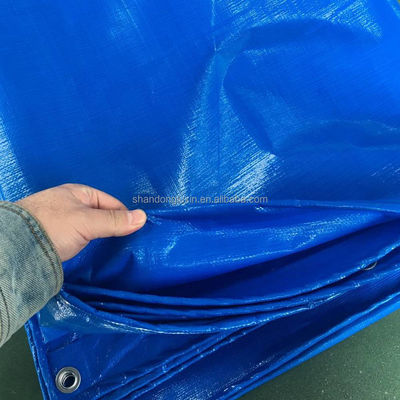 Other Style Highly Tear Resistant String Reinforced Scaffold Tarpaulin 6mil 20 x100Feet