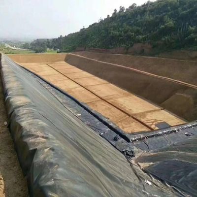 1m-8m Width HDPE Geomembrane for Fish Shrimp Farming Maximum Protection and Efficiency