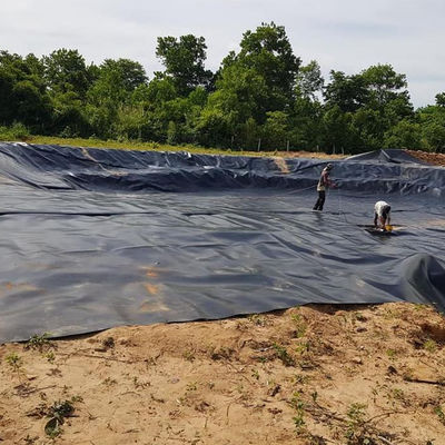ASTM GRI-GM13 Standard Geomembrane HDPE Smooth Waterproofing Fish Pond Liner for Pool
