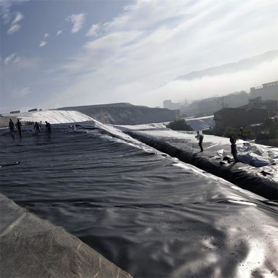 Foldable Geomembrane Fish Pond Liner in Black or Customized Color for Crawfish Farming