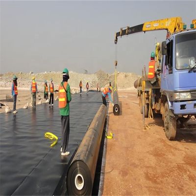 Foldable Geomembrane Fish Pond Liner in Black or Customized Color for Crawfish Farming