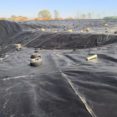 Foldable Geomembrane Fish Pond Liner in Black or Customized Color for Crawfish Farming