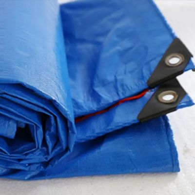 Lightweight PE Tarpaulin in Customized Size for Waterproof and Heavy Duty Applications