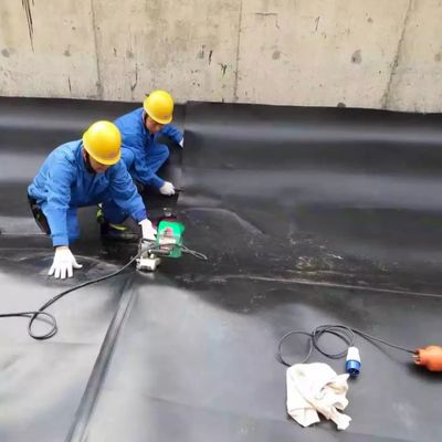 Plastic Fish Tank Geomembrane for Liner HDPE Material and Lobster Farming in Mine etc