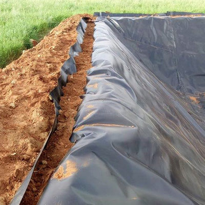 50m-100m Length HDPE Geomembrane Liner for Density Polyethylene Pond Geomembranas